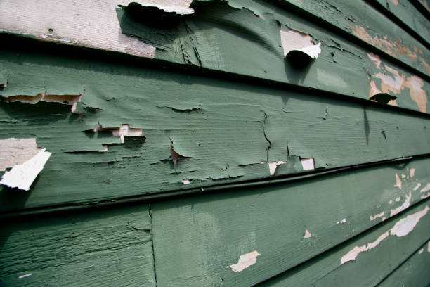 Storm Damage Siding Repair in Lumberton, MS